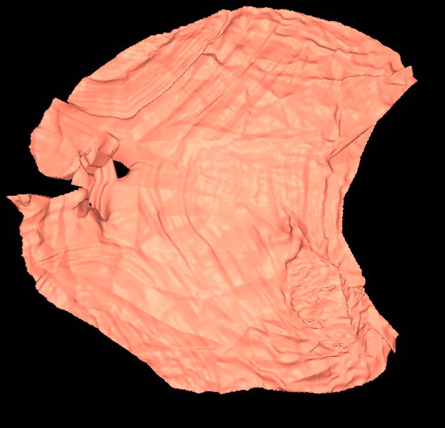 MoriPatho1.jpg