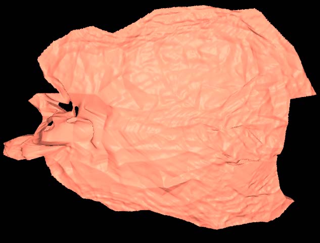 MoriPatho2.jpg